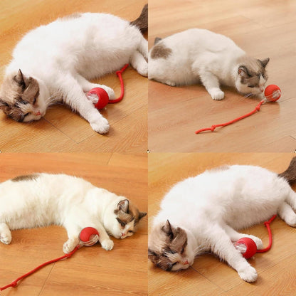 Automatic Rolling Ball For Pets - Interactive Toy for Cats & Dogs
