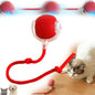 Automatic Rolling Ball For Pets - Interactive Toy for Cats & Dogs